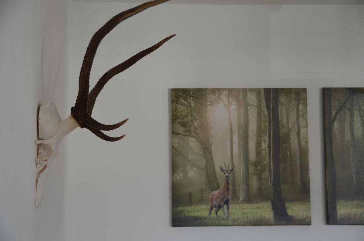 Ferienwohnung Fahrner Baiersbronn Luaran gambar